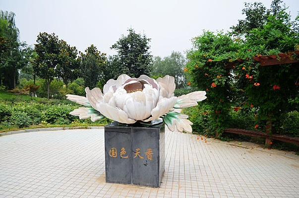 ĵ��԰��ɫ����