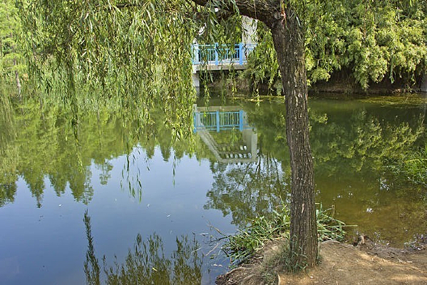 ������԰���߷羰