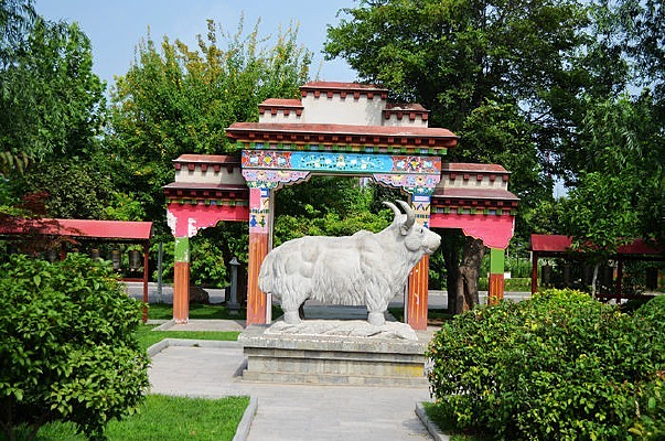 ���ط���԰��ţ