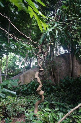 �������۵�����