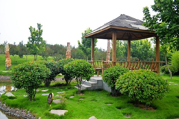 ��¡����