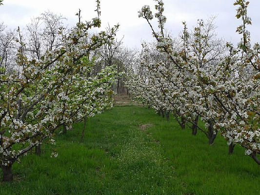 �滨���ŵ�