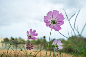 �����̱���