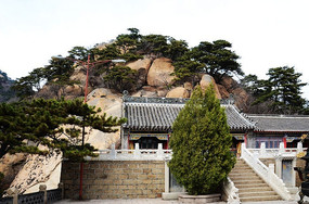 �����ϼ������ǰ�����