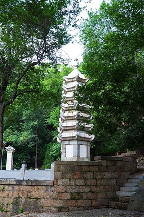 ����������Ϊ��