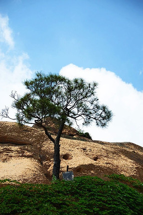 ��������µĿ�����