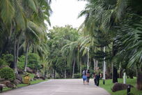 Ҭ����·��Ҭ����