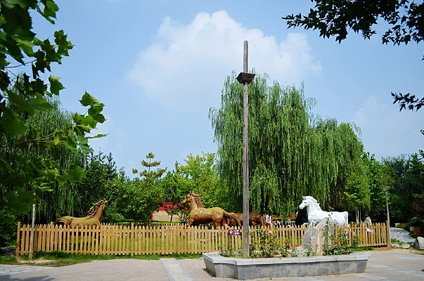 ����������