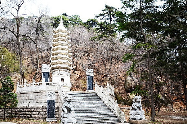 ����ɽ�Ĵ���