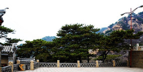 ǧɽ����Ժ�������