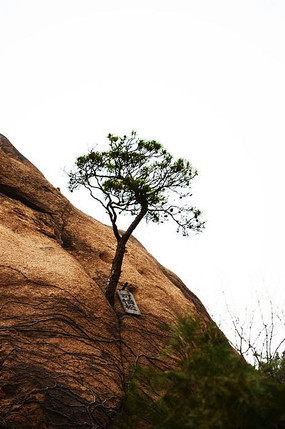 ǧɽ������