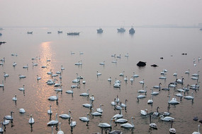 ����һ��