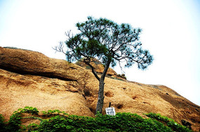 �����۾����Ŀ�����