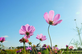 Ϧ���»���