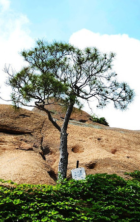 �������������Ŀ�����