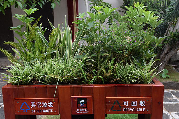 ��ֲ������Ͱ�ϻ���Ļ���