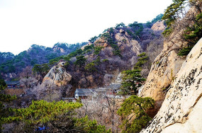 ���Ŵ���ɽ�ֵ����������ٵ�