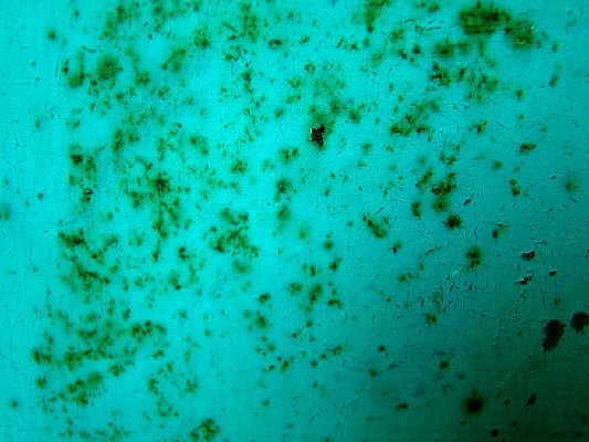 ����ɫ�ı���