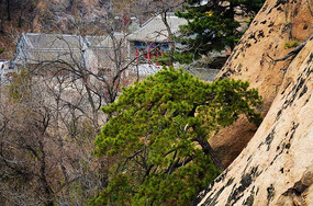 ǧɽɽ��������ٵ�