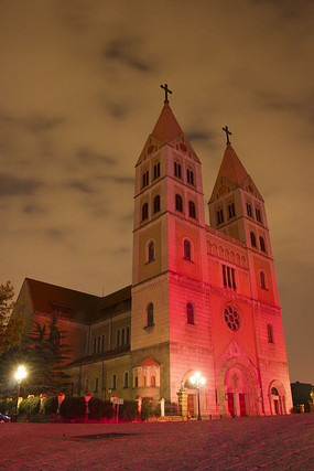 ������¥��