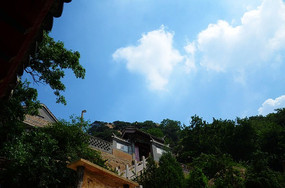 ���ٵ���������