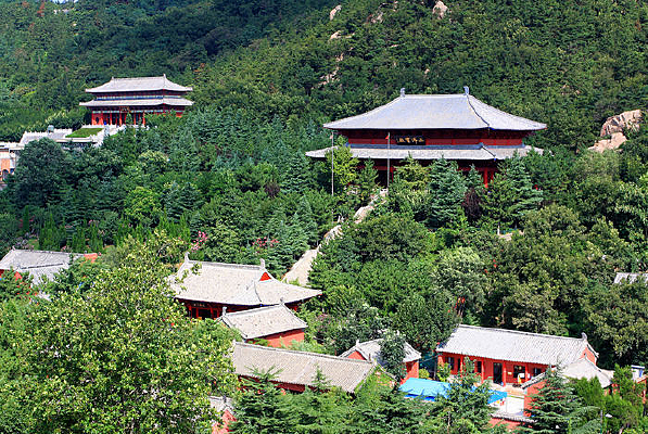 ��������Ⱥ