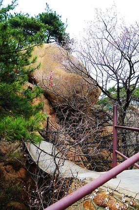 ��������ʯ�����������