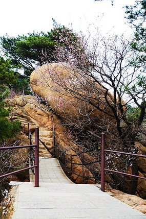 �����۾�����������