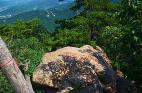 �����۾���ɽ���ϵ���ʯ����ѿ�