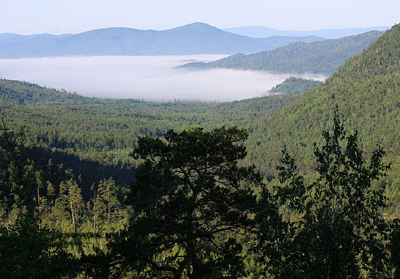 ������Ȼ����