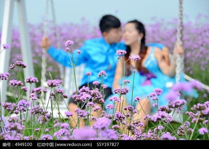 Ѭ�²ݹ���԰�ڵ�����ͼƬ