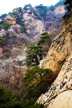 ������ɽ��������ٵ�