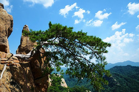 һ����ɽ��֮���Ӵ���