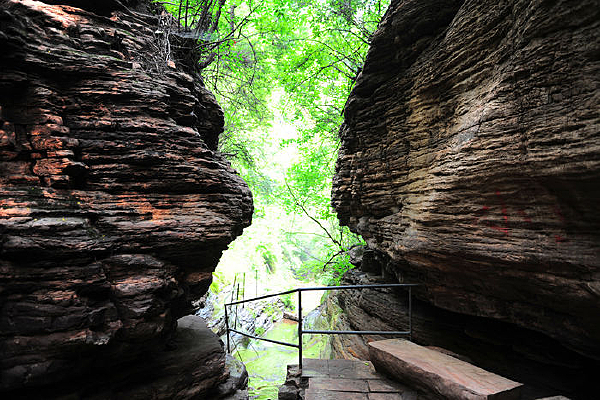 ����Ͽ��