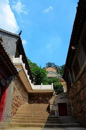 ����������Ʋ���