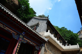 �����������Ʋ���