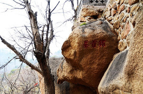 ������������׷�