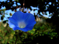 �ɾ��ĵ���ɫ���Ȼ�