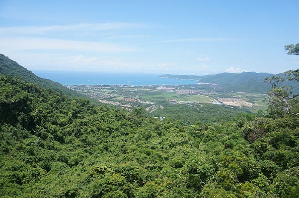 ��ɽ�е���ɫֲ��