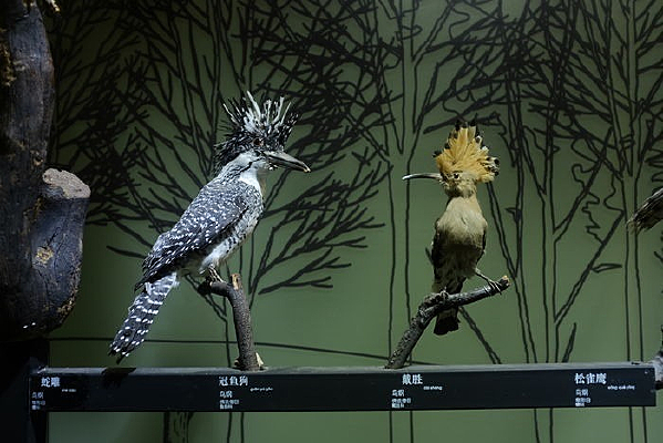 ���㹷���ʤ