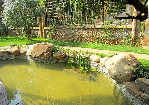 ����ˮ��