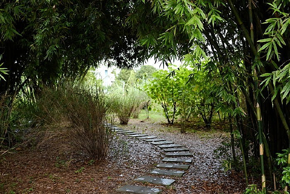 ��С����