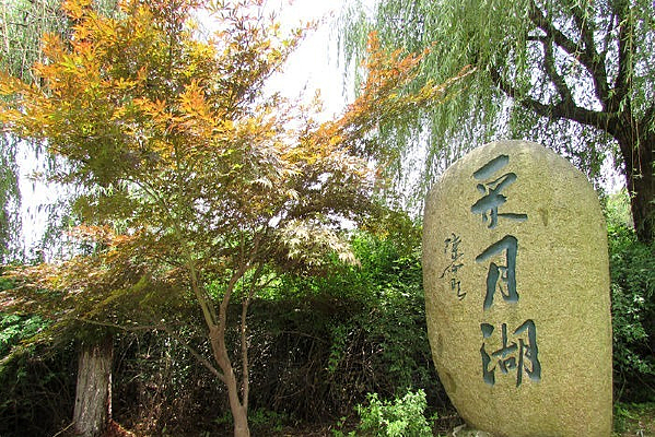 ����ʦ����ѧ