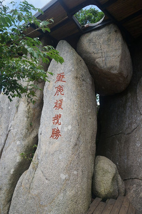 ʯͷ�Աߵ�һƬ��Ҷ