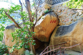 ������������׷�