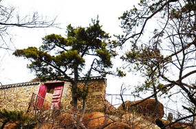 ���������������ǰ����