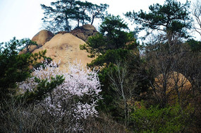 �������������¸�