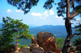 ������ɽ�������ʯ������Ϊ��