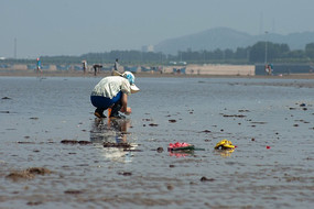 �Ϻ�����ҹ���