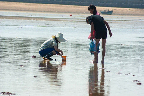 �Ϻ�����